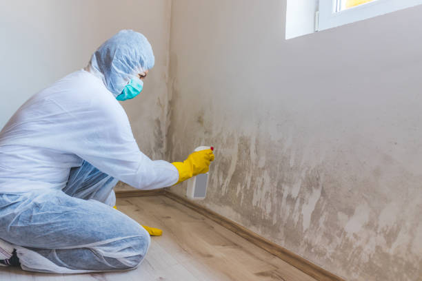 Hvac And Air Duct Mold Remediation inspection of HVAC system in Franklin Square